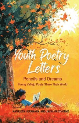 bokomslag Youth Poetry Letters - Pencils and Dreams