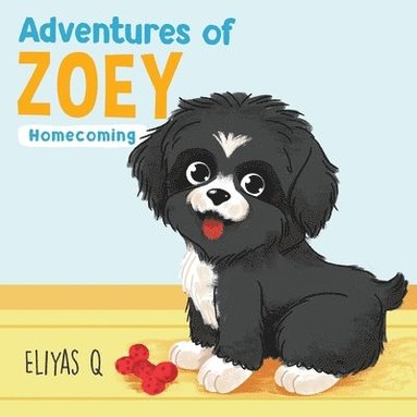 bokomslag Adventures Of Zoey: Homecoming