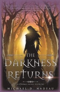 bokomslag The Darkness Returns