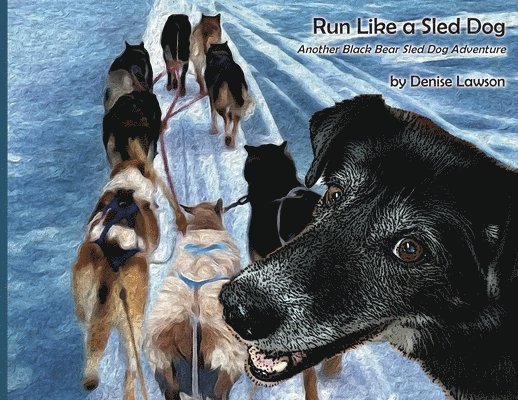 Run Like a Sled Dog 1