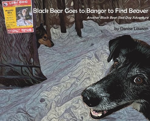 Black Bear Goes to Bangor to Find Beaver 1