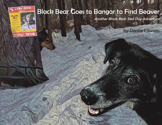 Black Bear Goes to Bangor to Find Beaver 1