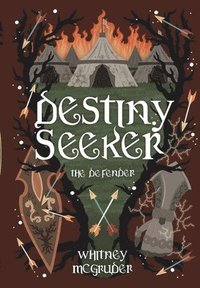 bokomslag Destiny Seeker