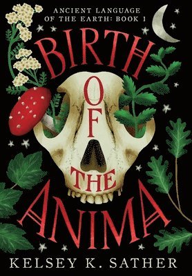 bokomslag Birth of the Anima