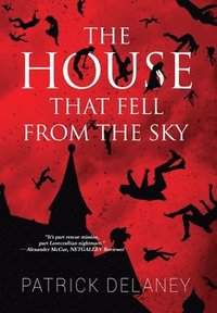 bokomslag Delaney, P: House that fell from the Sky