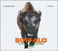 bokomslag Buffalo