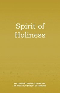 bokomslag Spirit of Holiness