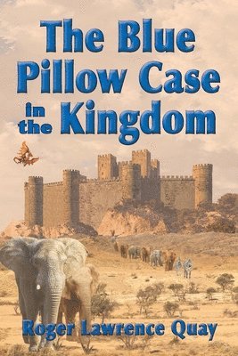 bokomslag The Blue Pillow Case in the Kingdom