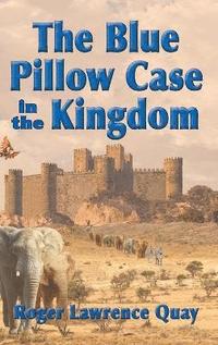 bokomslag The Blue Pillow Case in the Kingdom