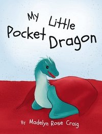 bokomslag My Little Pocket Dragon
