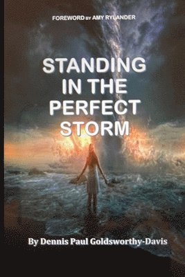 bokomslag Standing In The Perfect Storm