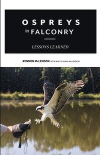 bokomslag Ospreys in Falconry