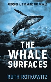 bokomslag Whale Surfaces