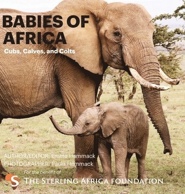 Babies of Africa