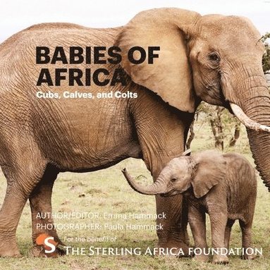 bokomslag Babies of Africa: Cubs, Calves and Colts