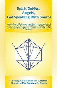 bokomslag Spirit Guides, Angels, and Speaking With Source