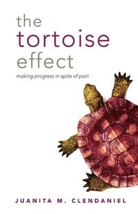bokomslag The Tortoise Effect