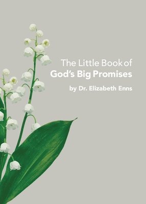 bokomslag The Little Book of God's Big Promises