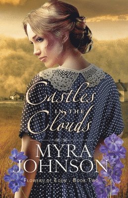 Myra Johnson - Castles in the Clouds, Häftad