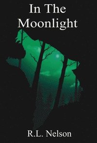 bokomslag In The Moonlight