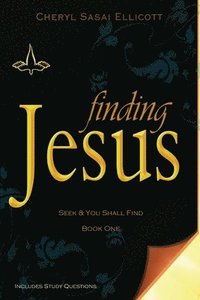 bokomslag Finding Jesus