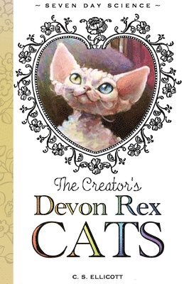 C Ellicott, C. Ellicott - Creator's Devon Rex Cats, Häftad