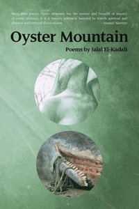 bokomslag Oyster Mountain: Poems by Jalal El-Kadali