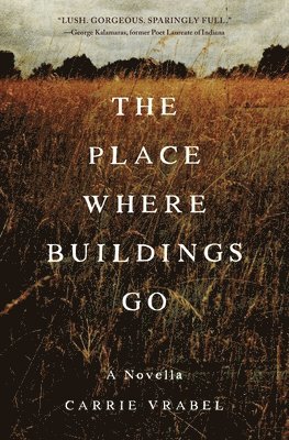 The Place Where Buildings Go 1