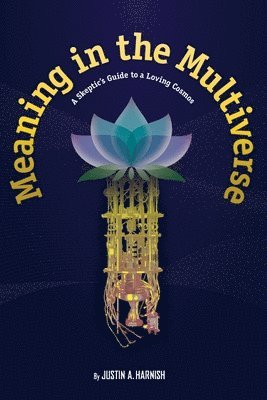 bokomslag Meaning in the Multiverse