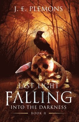 Last Light Falling - Into The Darkness, Book II 1