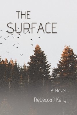 The Surface 1