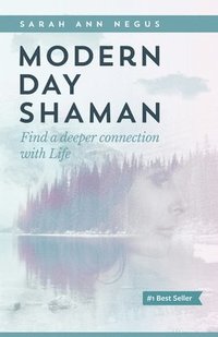 bokomslag Modern Day Shaman