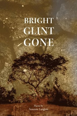 Bright Glint Gone 1