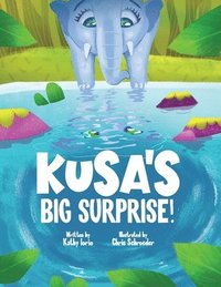 bokomslag Kusa's Big Surprise!
