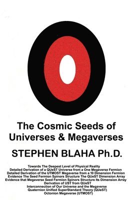 bokomslag The Cosmic Seeds of Universes and Megaverses