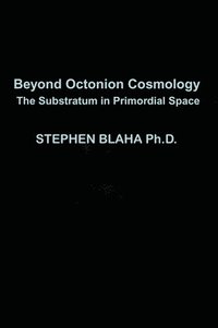 bokomslag Beyond Octonion Cosmology