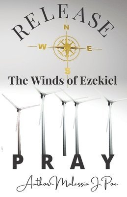 bokomslag Release the Winds of Ezekiel Pray