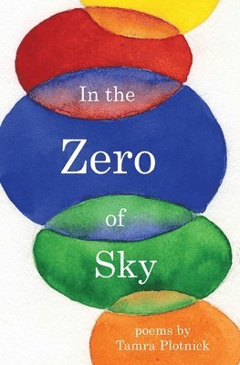 Tamra Plotnick - In the Zero of Sky, Häftad