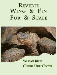 bokomslag Reverie Wing & Fin Fur & Scale