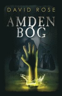 bokomslag Amden Bog: A Novel in Stories