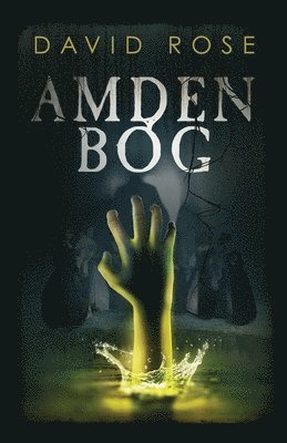 David Rose - Amden Bog: A Novel in Stories, Häftad