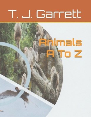 T. J. Garrett - Animals A To Z, Häftad