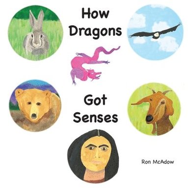 bokomslag How Dragons Got Senses