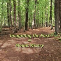 bokomslag Imagining the Past at Mount Misery