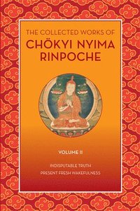 bokomslag The Collected Works of Chkyi Nyima Rinpoche, Volume II