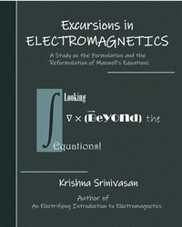 bokomslag Excursions in Electromagnetics