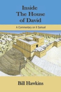 bokomslag Inside the House of David