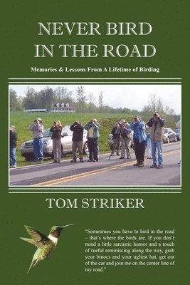 bokomslag Never Bird In The Road