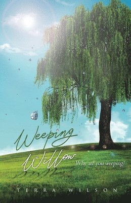 Weeping Willow 1