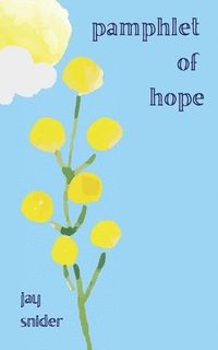 bokomslag Pamphlet of Hope